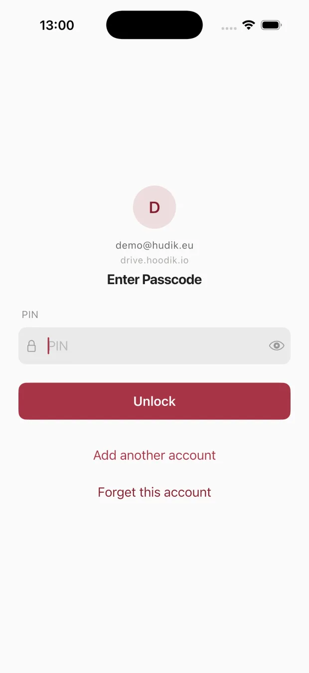 Hoodik app, PIN unlock
