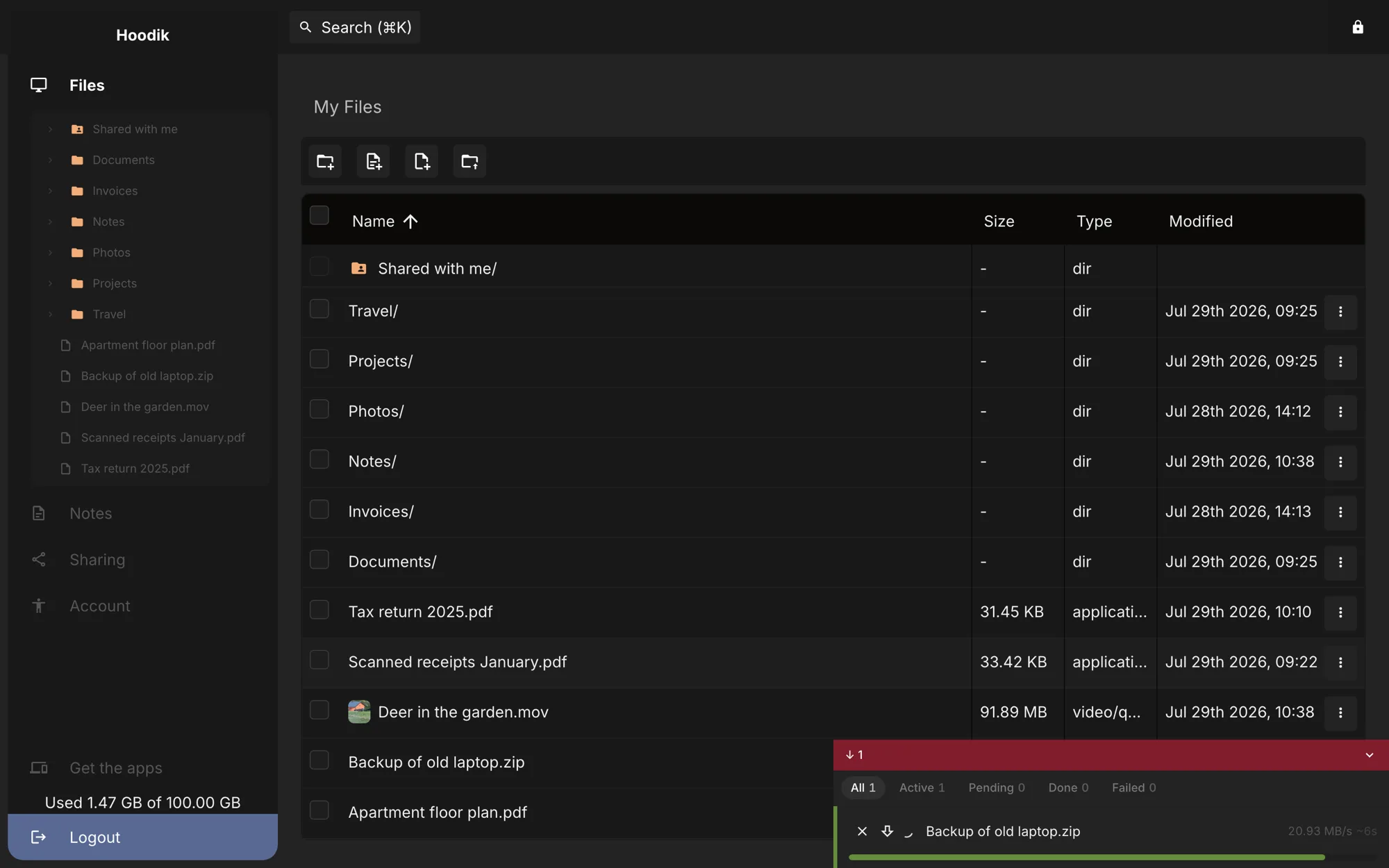 The Hoodik file browser, listing encrypted files and folders